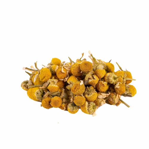 Camomile Blossoms